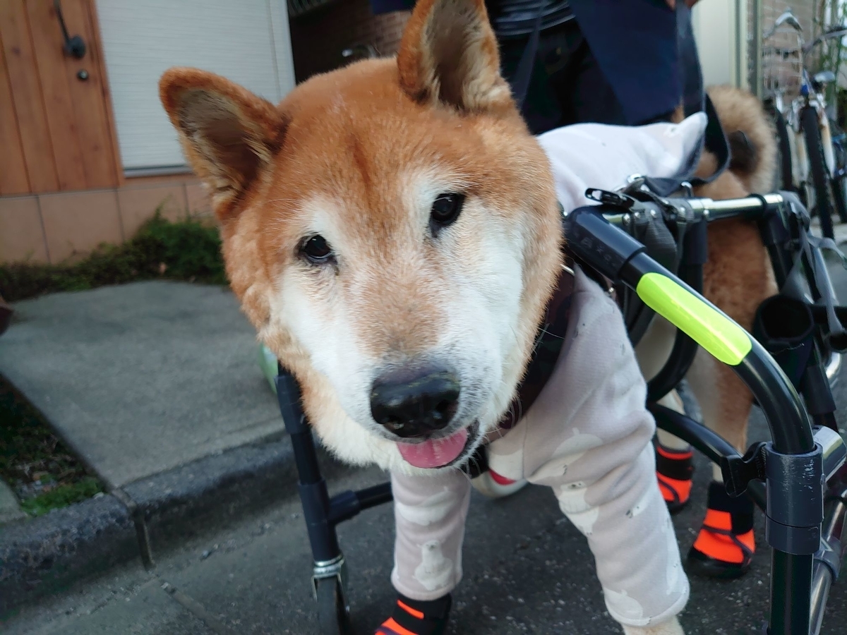 f:id:miyuki1967:20191205115006j:plain:w450