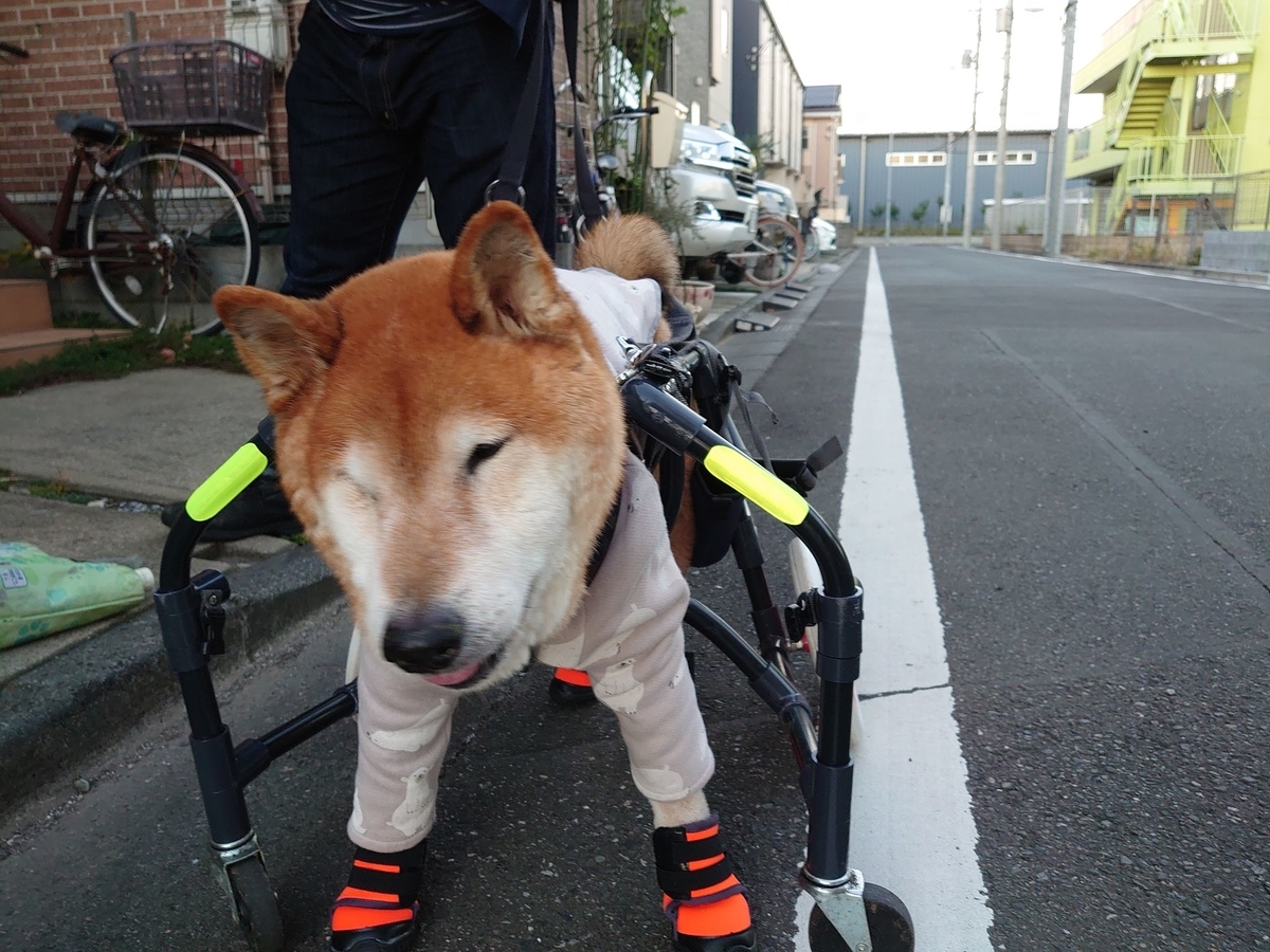 f:id:miyuki1967:20191205115114j:plain:w450