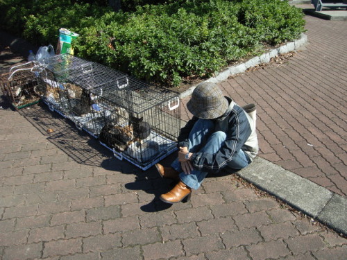 f:id:miyuki1967:20200127102829j:plain:w450 f:id:miyuki1967:20200127102829j:plain:w450
