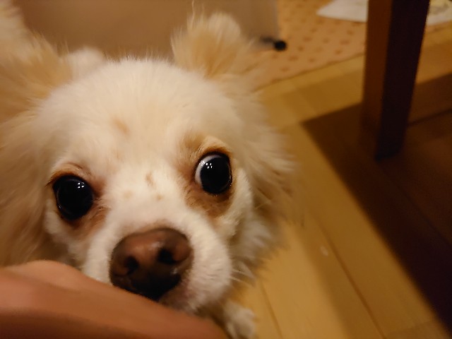 f:id:miyuki1967:20200220102904j:plain:w450