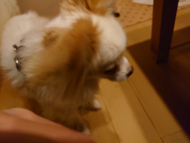 f:id:miyuki1967:20200220102918j:plain:w450