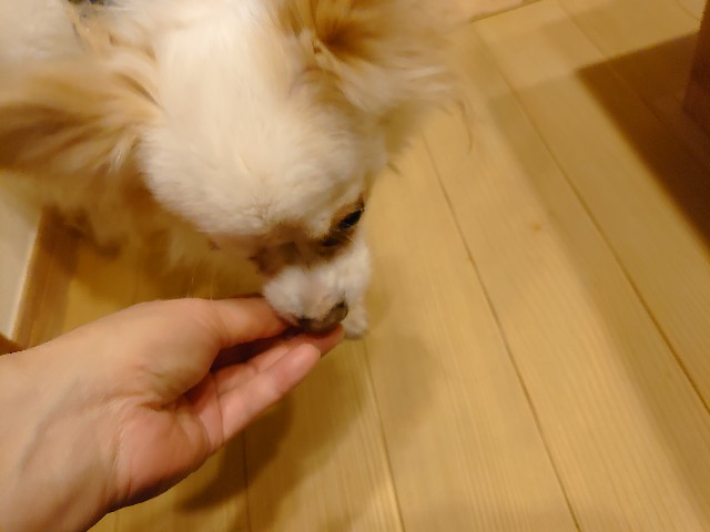 f:id:miyuki1967:20200220102951j:plain:w450