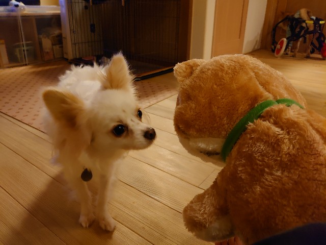 f:id:miyuki1967:20200309103246j:plain:w450