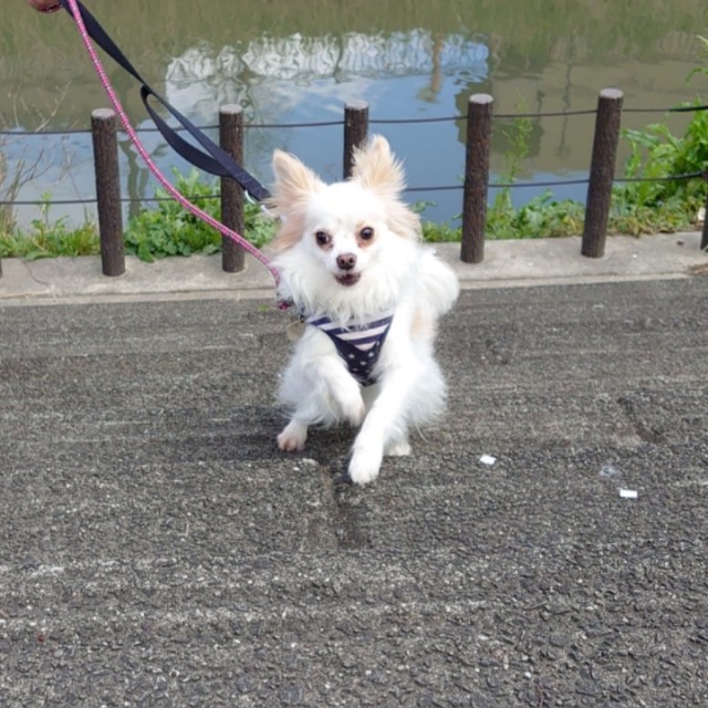 f:id:miyuki1967:20200316103143j:plain:w450