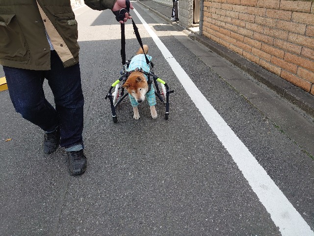 f:id:miyuki1967:20200324111118j:plain:w450