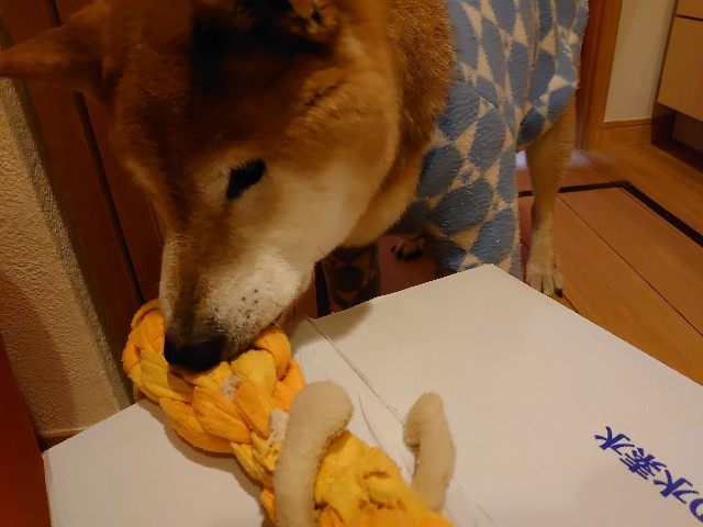 f:id:miyuki1967:20200325115838j:plain:w450 f:id:miyuki1967:20200325115838j:plain:w450