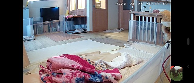 f:id:miyuki1967:20200325120325j:plain:w450 f:id:miyuki1967:20200325120325j:plain:w450