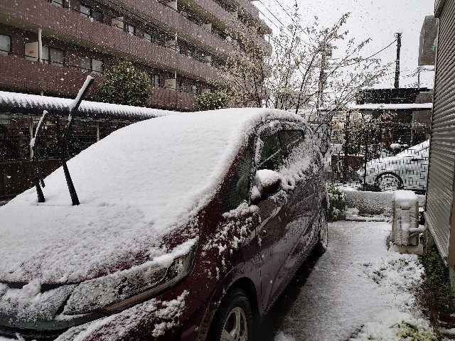 f:id:miyuki1967:20200329124134j:plain