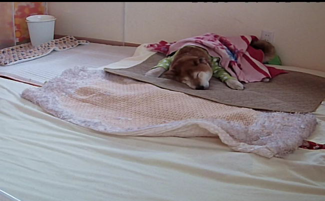 f:id:miyuki1967:20200401113727p:plain:w450