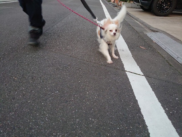 f:id:miyuki1967:20200409114951j:plain:w450