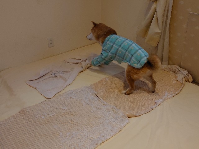 f:id:miyuki1967:20200424163941j:plain:w450