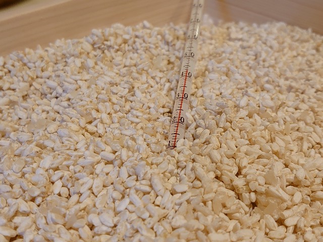 f:id:miyuki1967:20200511114121j:plain:w450