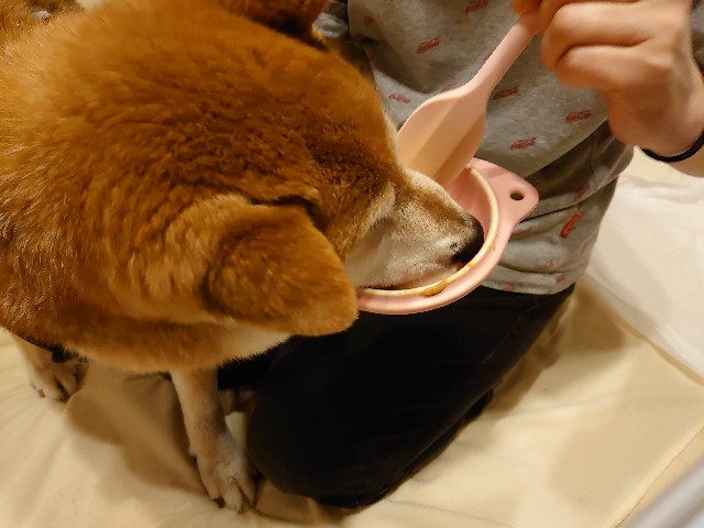 f:id:miyuki1967:20200519114751j:plain:w450