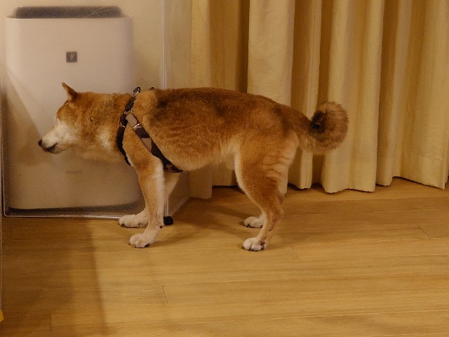 f:id:miyuki1967:20200525104914j:plain:w450