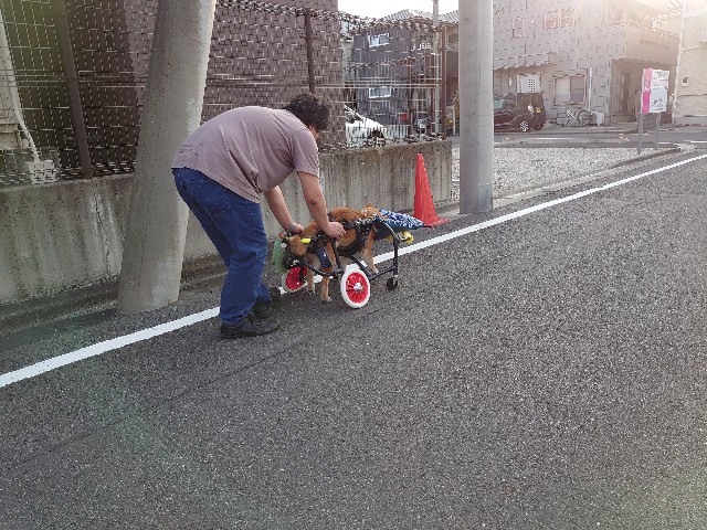 f:id:miyuki1967:20200525105059j:plain:w450