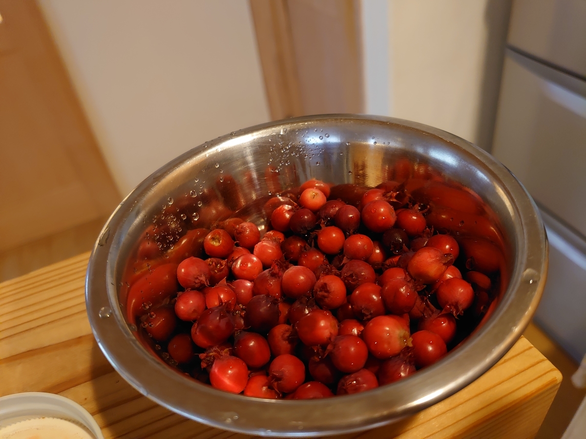 f:id:miyuki1967:20200526104546j:plain:w450