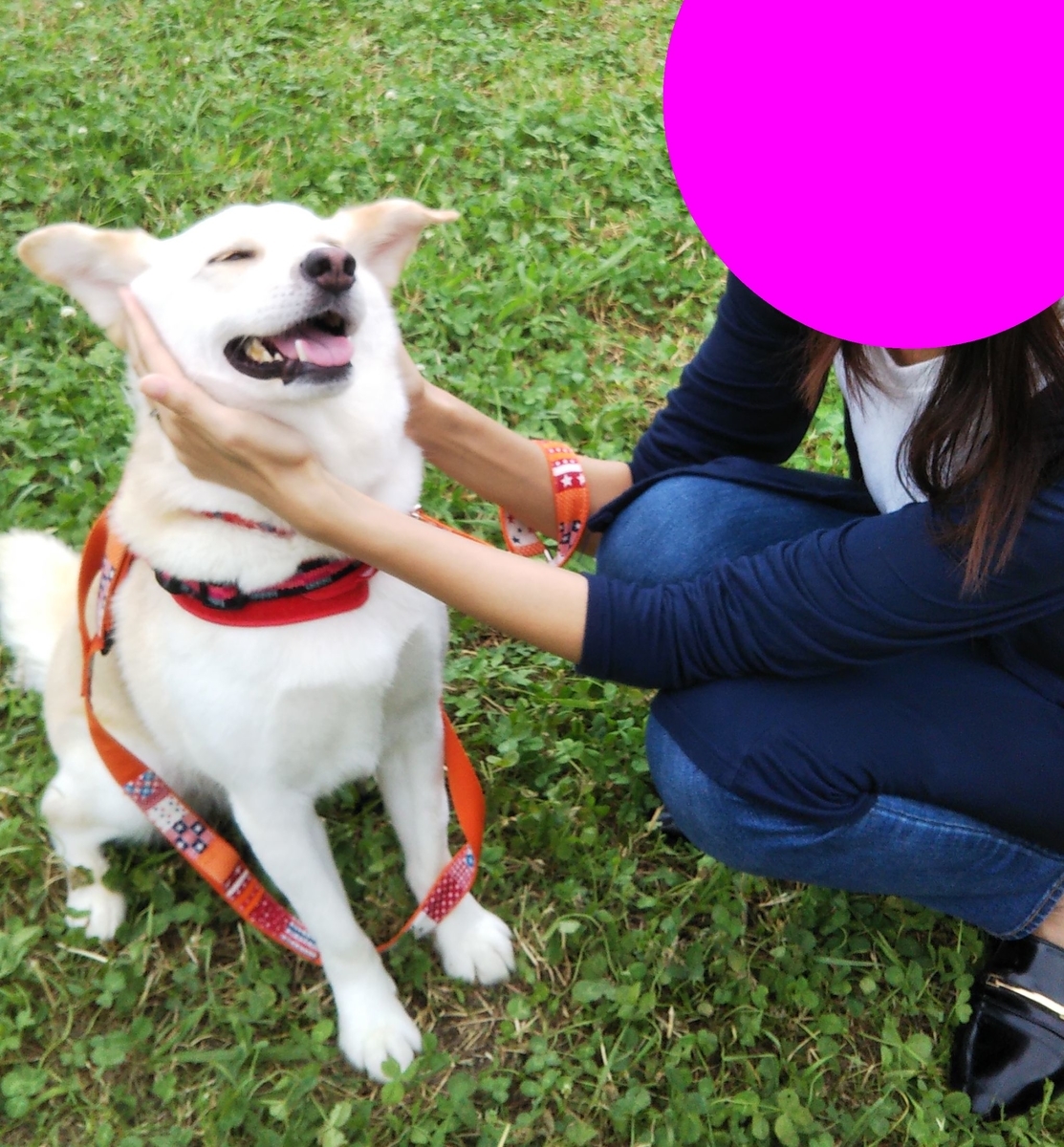 f:id:miyuki1967:20200731110701j:plain:w450