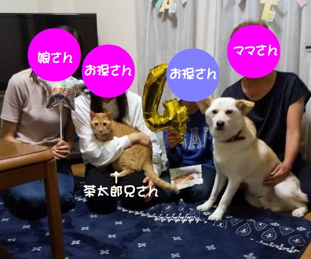 f:id:miyuki1967:20200731110716j:plain:w450