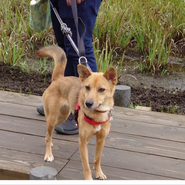 f:id:miyuki1967:20201003105253j:plain:w450