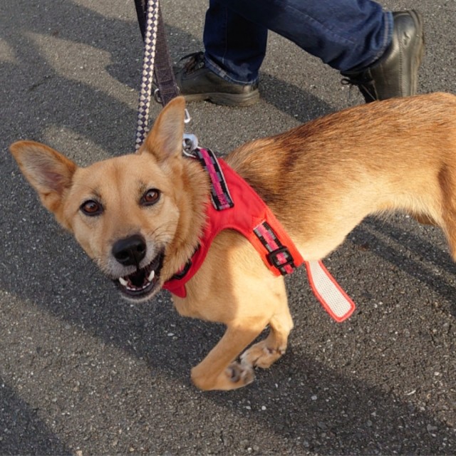 f:id:miyuki1967:20201003105329j:plain:w450