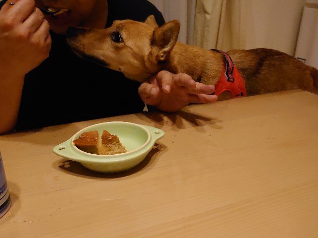 f:id:miyuki1967:20201003105847j:plain:w450