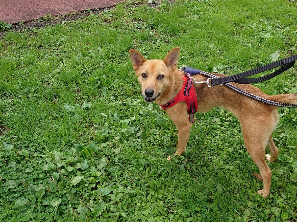 f:id:miyuki1967:20201013152749j:plain:w450 f:id:miyuki1967:20201013152749j:plain:w450