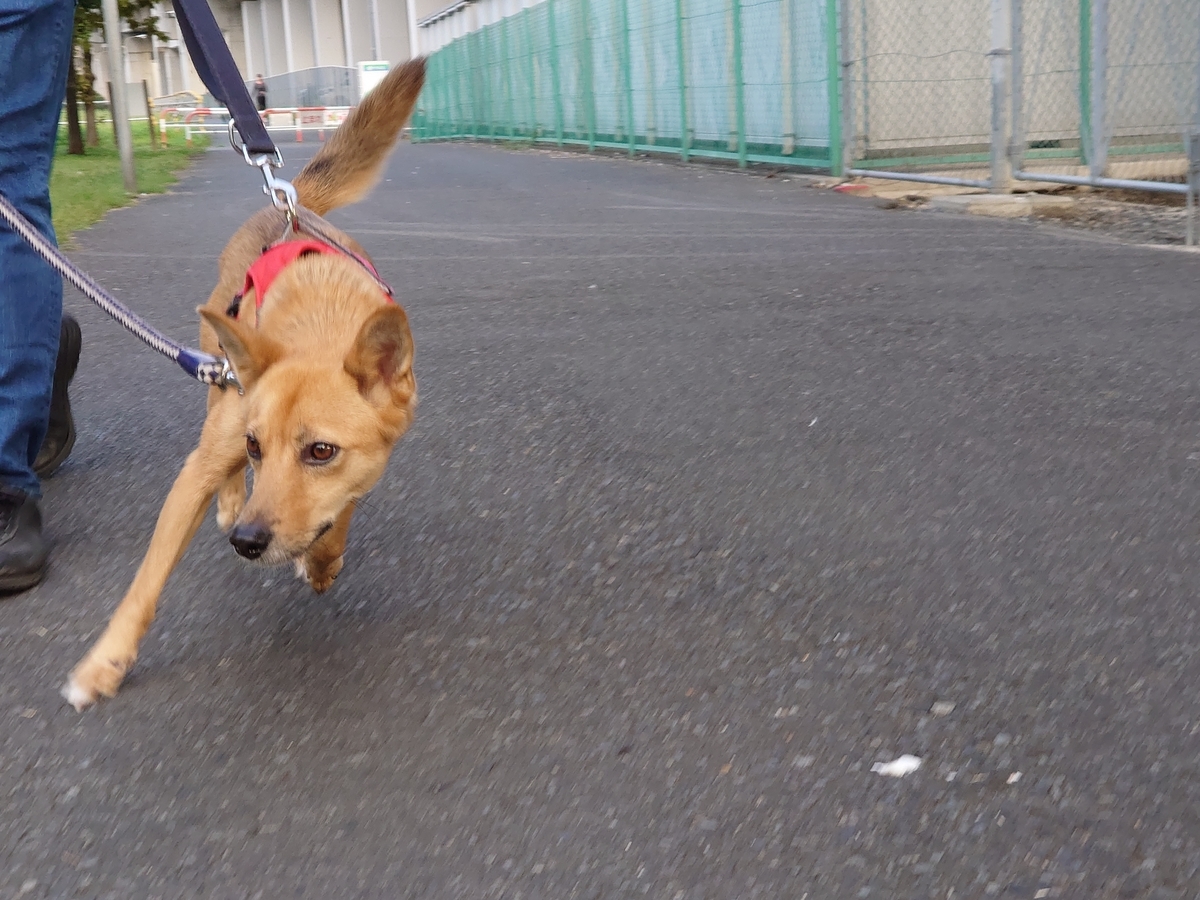 f:id:miyuki1967:20201014142615j:plain:w450