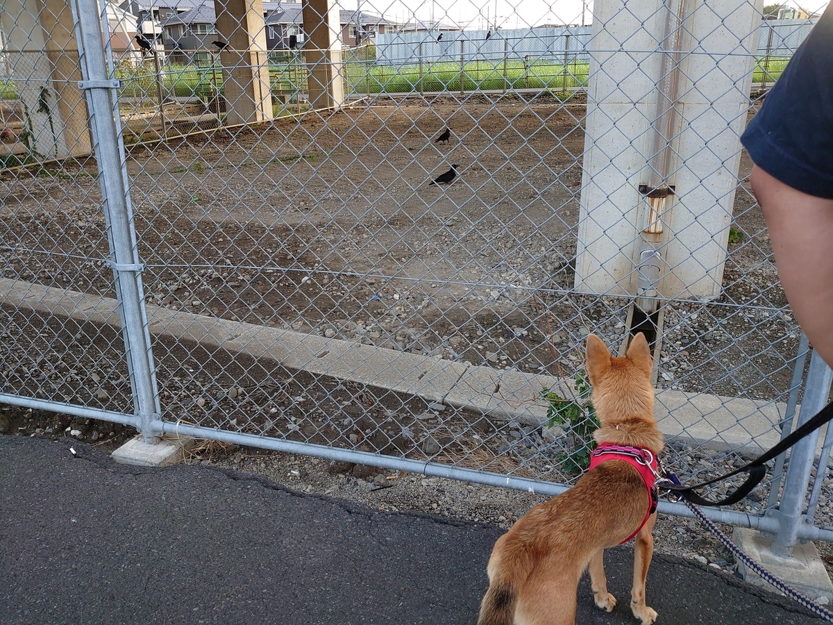 f:id:miyuki1967:20201014142707j:plain:w450