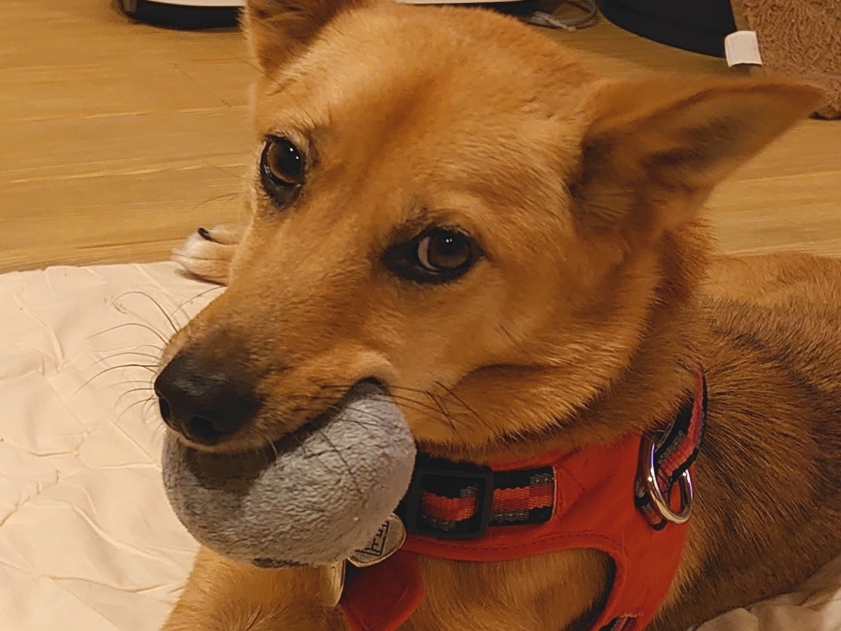 f:id:miyuki1967:20201015103847j:plain:w450 f:id:miyuki1967:20201015103847j:plain:w450