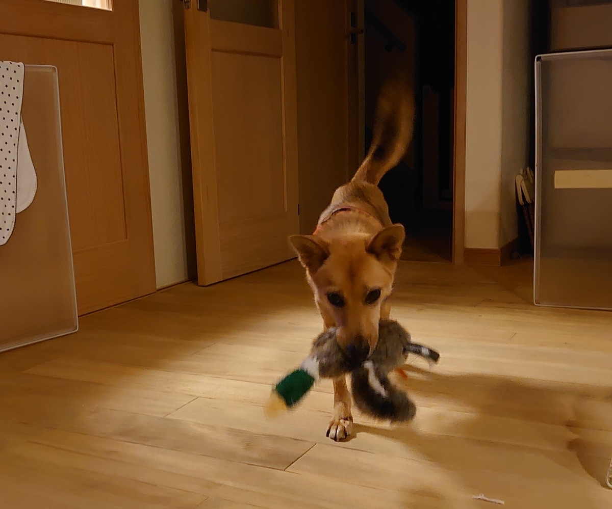 f:id:miyuki1967:20201021150320j:plain:w450 f:id:miyuki1967:20201021150320j:plain:w450