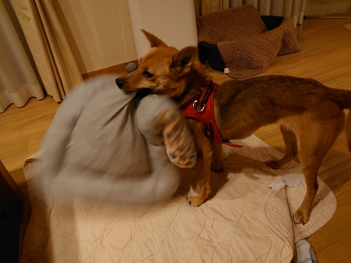 f:id:miyuki1967:20201021150644j:plain:w450 f:id:miyuki1967:20201021150644j:plain:w450