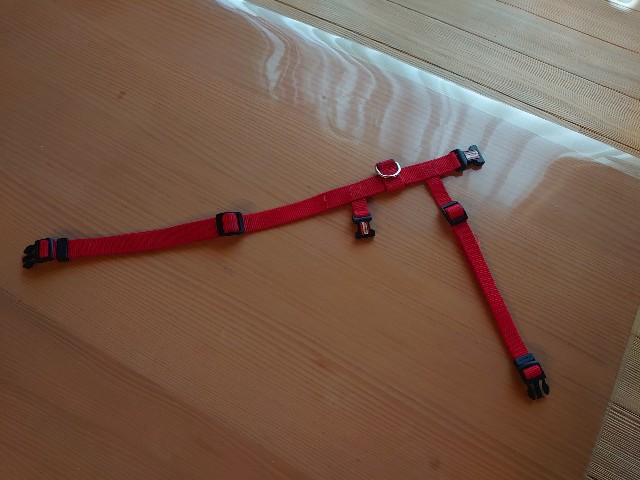 f:id:miyuki1967:20201119165416j:plain:w450