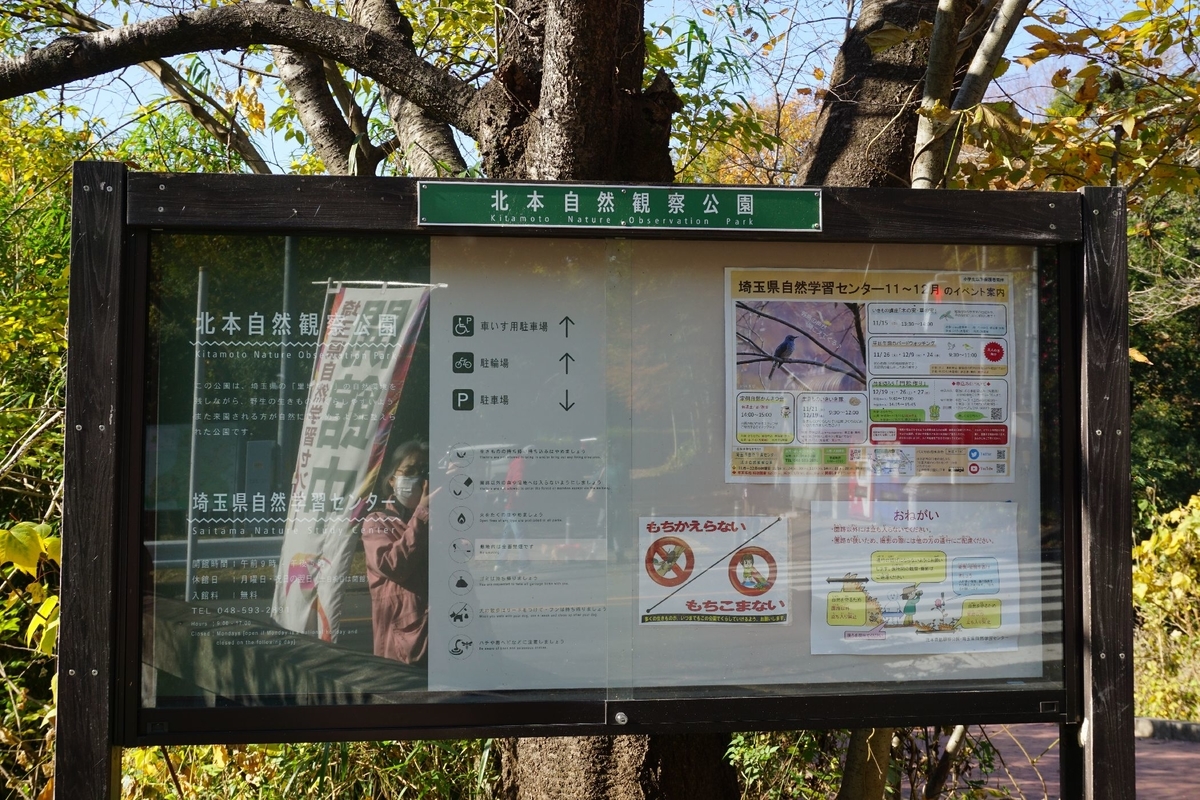 f:id:miyuki1967:20201125135131j:plain:w450