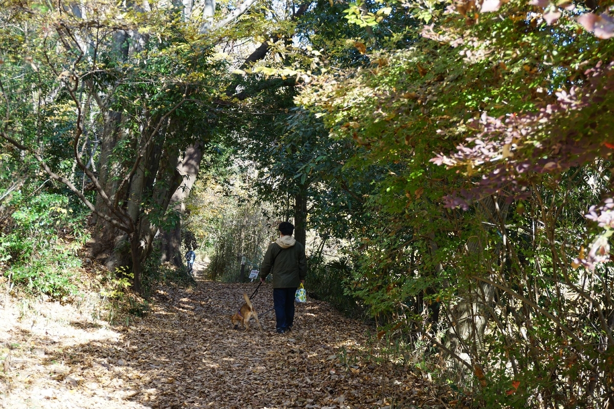 f:id:miyuki1967:20201125135646j:plain:w450