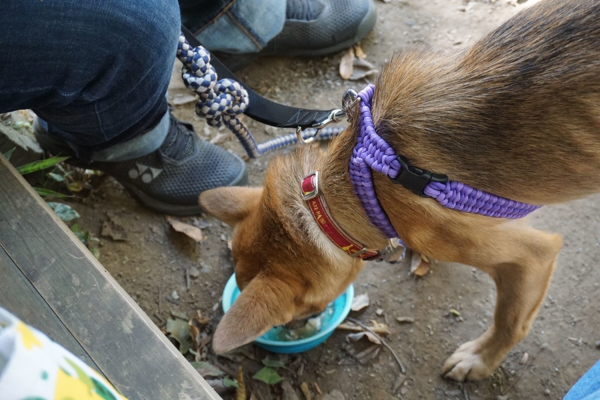 f:id:miyuki1967:20201125140514j:plain:w450