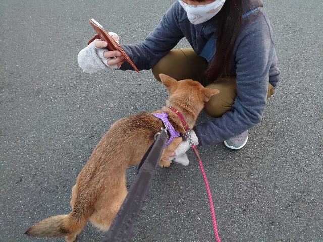 f:id:miyuki1967:20201204154107j:plain:w450