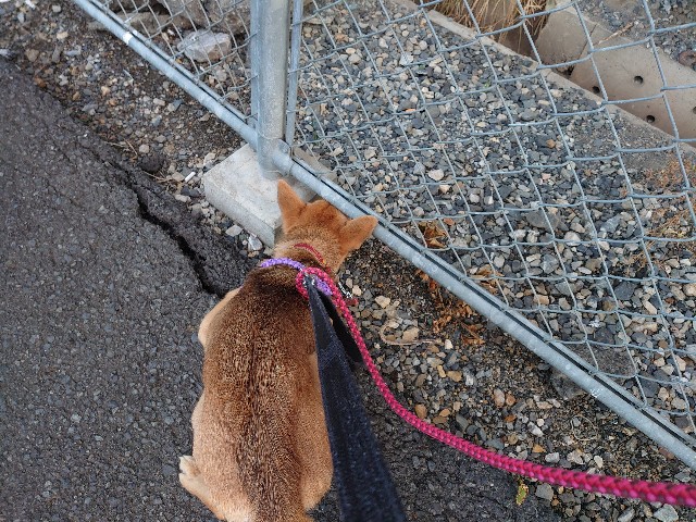 f:id:miyuki1967:20201204154659j:plain:w450