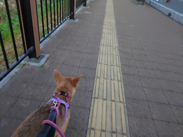 f:id:miyuki1967:20201216163922j:plain:w450