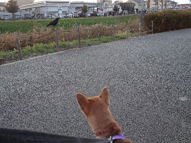 f:id:miyuki1967:20201222152735j:plain:w450