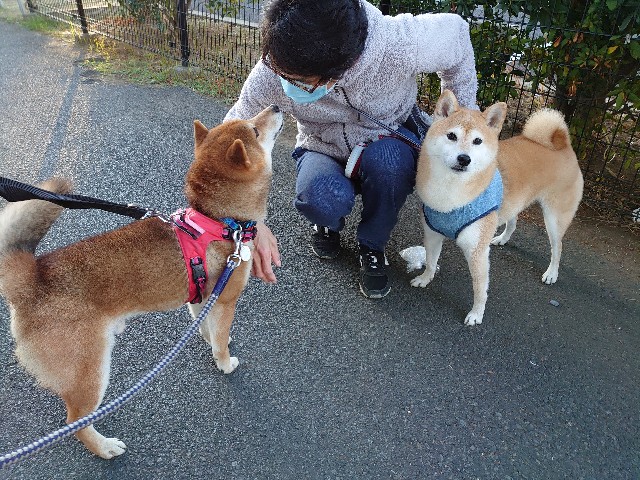 f:id:miyuki1967:20201223154549j:plain:w450