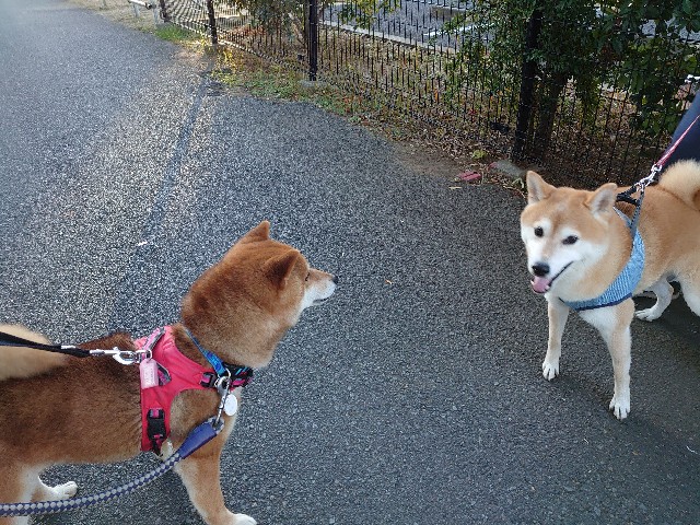 f:id:miyuki1967:20201223154602j:plain:w450