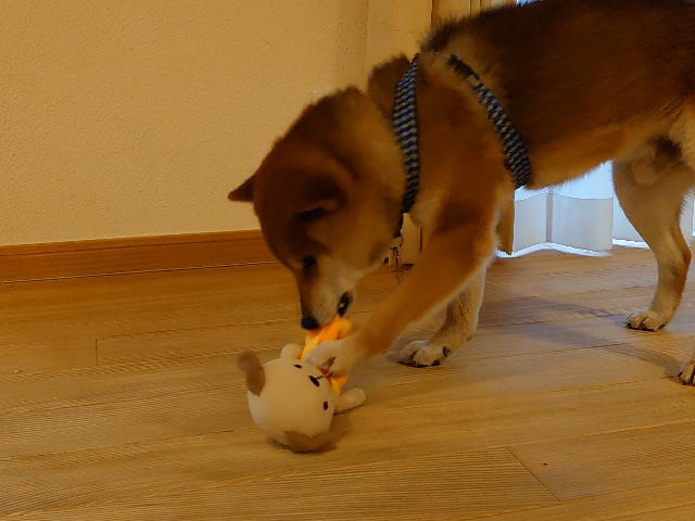 f:id:miyuki1967:20210119154304j:plain:w450