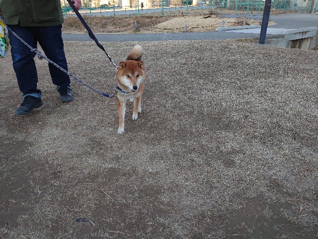 f:id:miyuki1967:20210119154352j:plain:w450