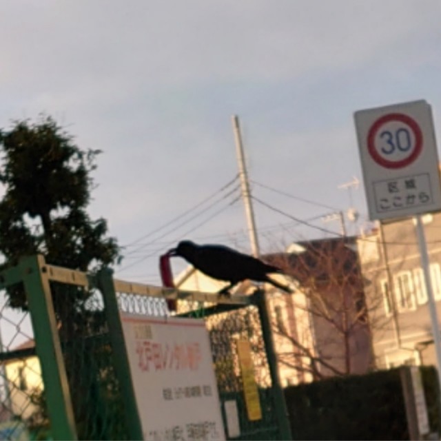 f:id:miyuki1967:20210128133916j:plain:w450