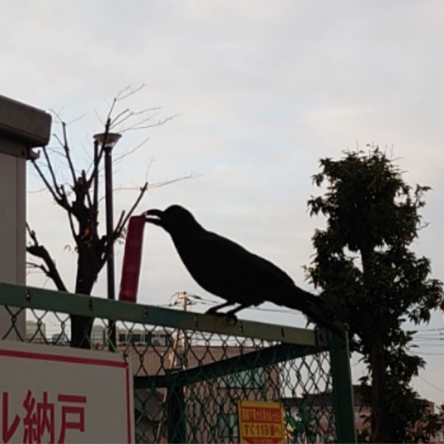 f:id:miyuki1967:20210128133926j:plain:w450