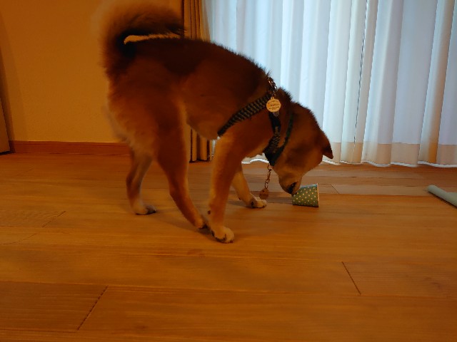 f:id:miyuki1967:20210130154220j:plain:w450