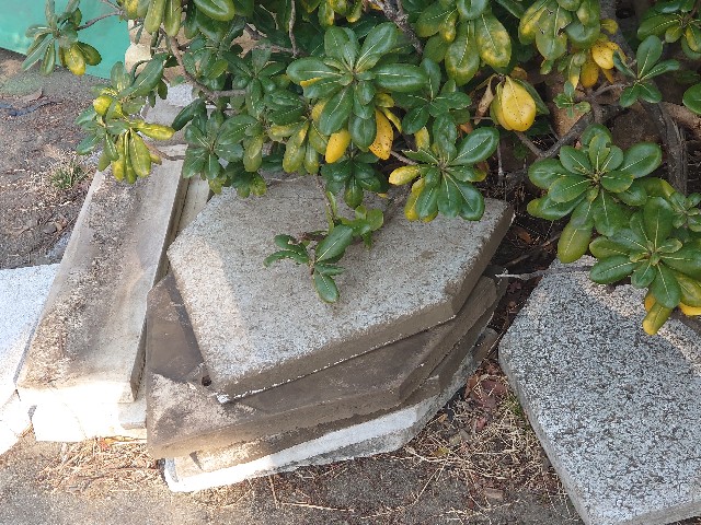 f:id:miyuki1967:20210215161000j:plain:w450