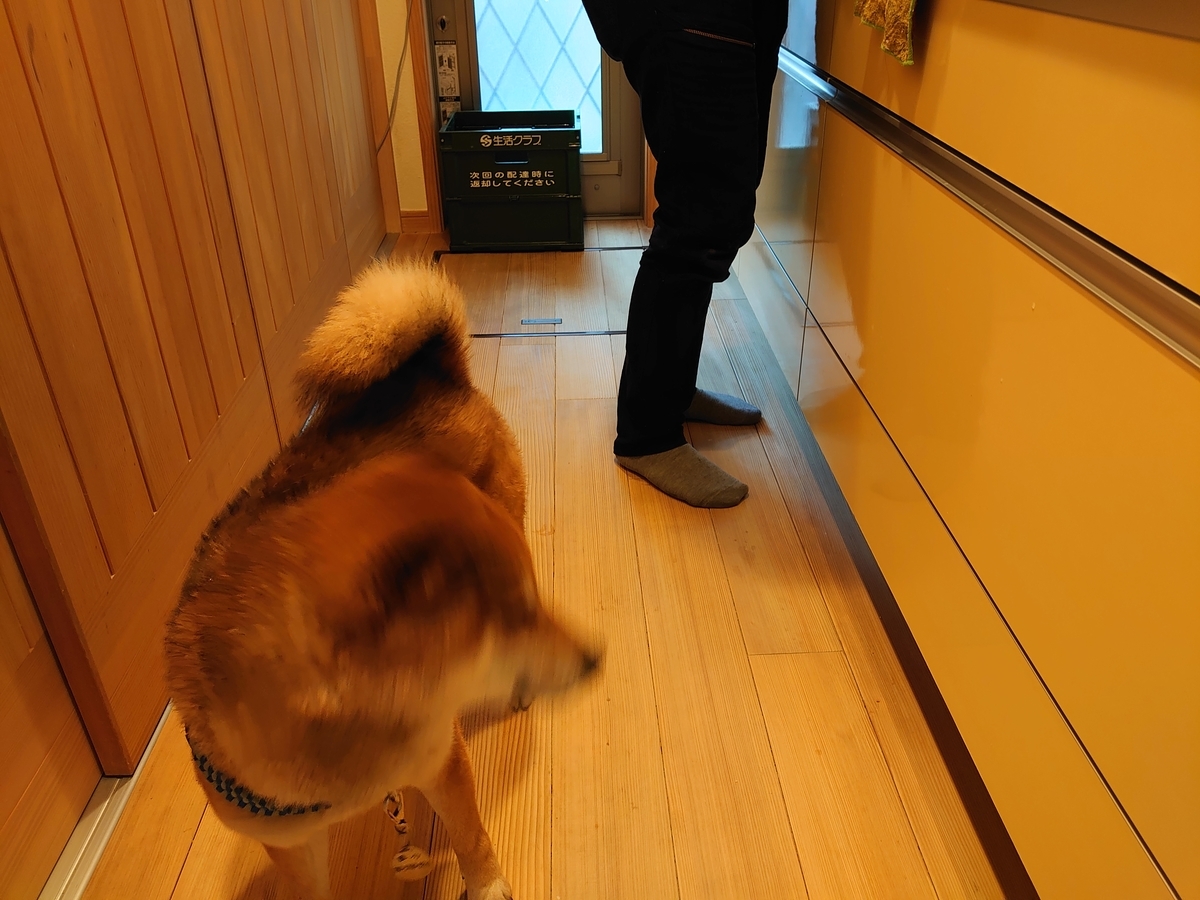 f:id:miyuki1967:20210222160503j:plain:w450