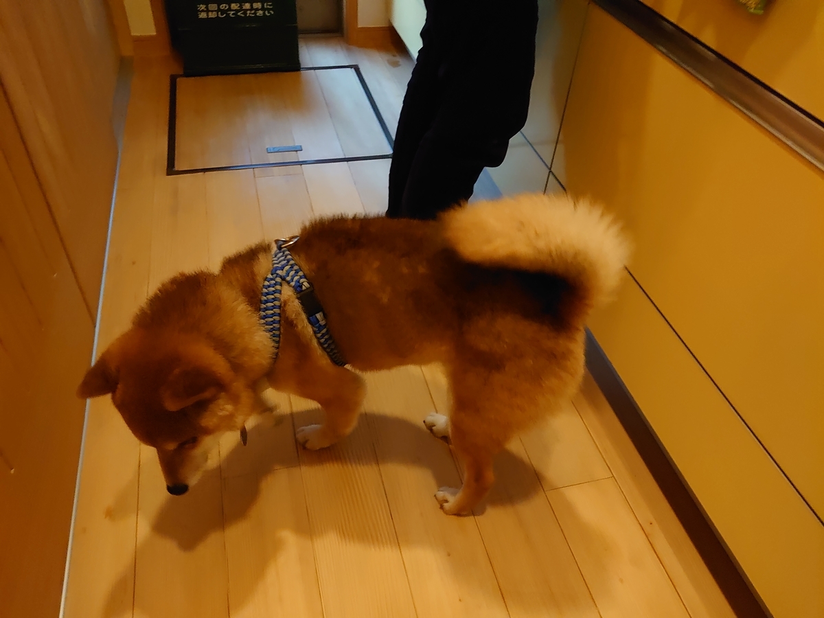 f:id:miyuki1967:20210222160522j:plain:w450