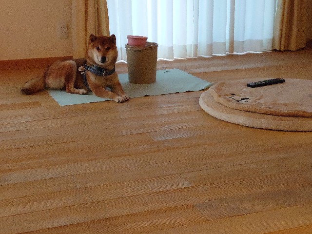 f:id:miyuki1967:20210222160909j:plain:w450
